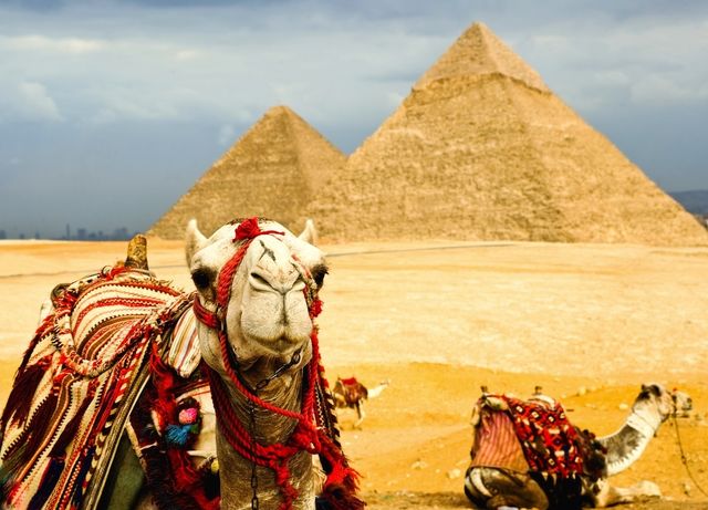 El Cairo es la capital de Egipto y de su gobernación. Es la mayor ciudad del mundo árabe, de Oriente Próximo y de África, y los egipcios la denominan a menudo sencillamente con el nombre del país,